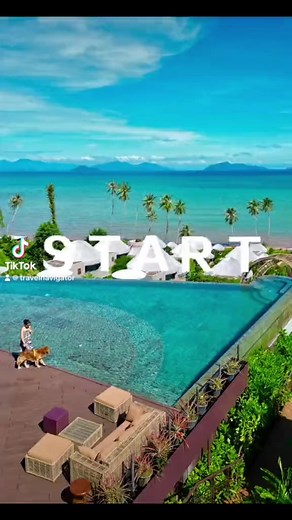 3.9K views · 22 reactions | พาหมาเที่ยว 瑩✨ #ที่พักติดทะเล #ที่พักหมาพักได้ #เกาะหมาก #themaktrat #kohmak #dogfriendly | Travel Navigator | Facebook