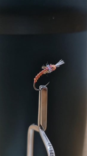 chronomid fly pattern #shorts #flytying #flyfishing