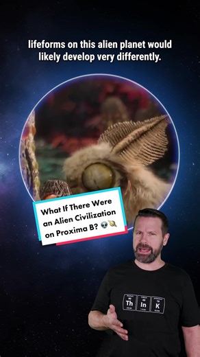 Conditions for Alien Life on Proxima Centauri B