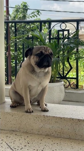 Essential Tools Every Creator Needs to Master AI Video Editing