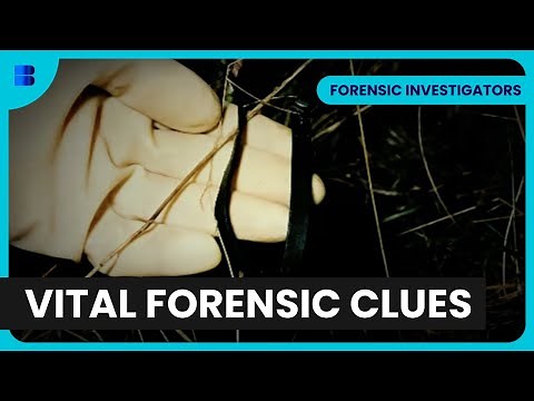 DNA Breakthrough in a Chilling Crime - Forensic Investigators