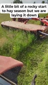 For sure a bit of a rocky start to the hay season for us, as our original new holland 411 discbine broke down, but thankfully and quickly found a new to us replacement/upgrade new holland H7230 discbine. We were able to get back to cutting with some newer machinery which is always fun. #farmlife #farming #hay #horses #money #farmers #gambling #problems New Holland Agriculture Kubota Tractor Corporation Kuhn North America | Michael Smith