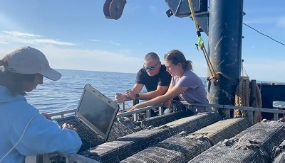 Scientists Prove Shellfish Can Be Farmed Far From Shore | Newswise