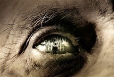 La llave maestra - Studio Universal Online