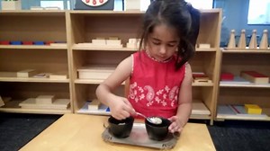 21 reactions | Do you know why spooning is one of the most important Practical Life activities in the Montessori Curriculum? It’s because it assists with coordination, concentration, and independence. Spooning is a great activity for Toddlers who are fascinated with practicing real life skills. | Montessori Academy | Facebook