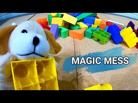 Amazing Magic Mess Cleans Itself: An Excite Dog Video for Kids