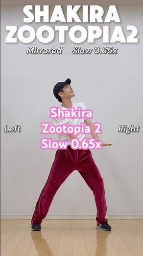 Shakira -Zootopia2- | Dance Tutorial Mirrored Slow 0.65x | 反転ミラー♪ゆっくりダンス解説✨簡単練習 🐢🐾 【TikTok Dance】