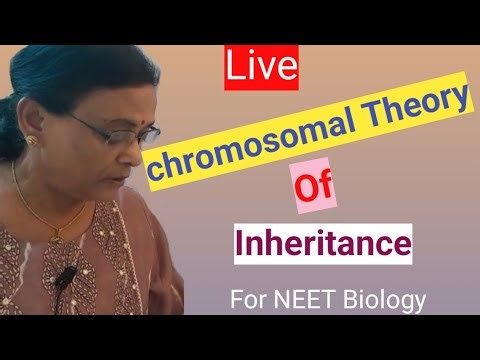 @ Chromosomal Theory of Inheritance