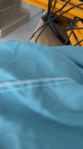 198K views · 5.5K reactions | she is a woman!!(אני מבולבל) #chihuahua #dog #nikiozeri #mreviatar #fyp #angrydog | Nikki Gang | Facebook