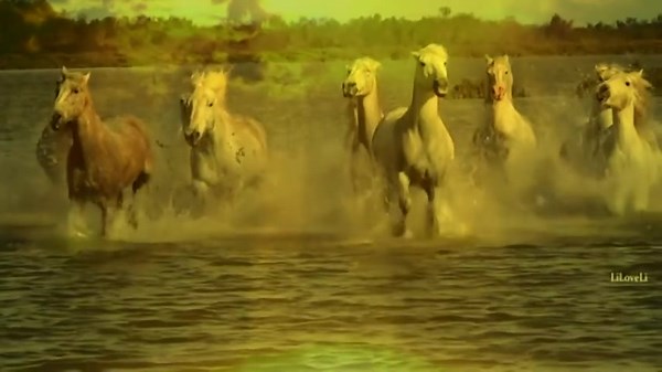 66K views · 1.2K reactions | Leo Rojas... El cóndor pasa.. Greatest Hits full Álbum 2017... | Canciones romanticas y poemas para el amor y desamor | Facebook