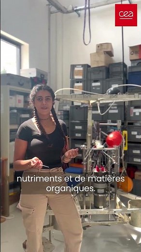 Microelectrodes to measure bottom waters 💧