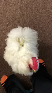 24K views · 2.6K reactions | Good Morning!! Happy Saturday, August...