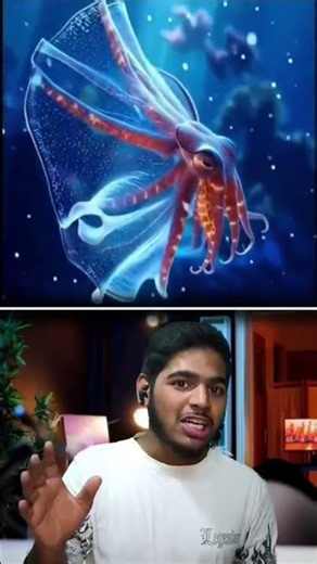 The Ocean’s Most Beautiful Killer 😱🐙 | Blanket Octopus Facts #ViralFacts