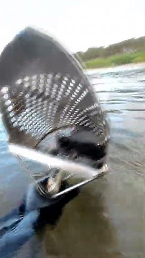 Underwater treasure hunt with deus 2