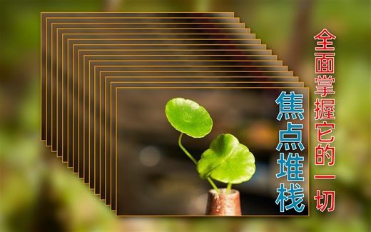 【摄影技法】焦点堆栈：前期拍摄和后期处理全过程