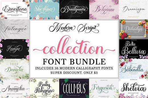 Modern Script Font Bundle, Elegant Calligraphy Handwritten Typeface SVG for Cricut Wedding Designs - Etsy