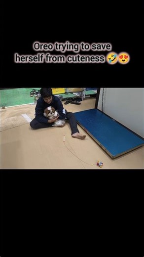 Oreo Saves Herself From Puppy Attack 🐾🐶