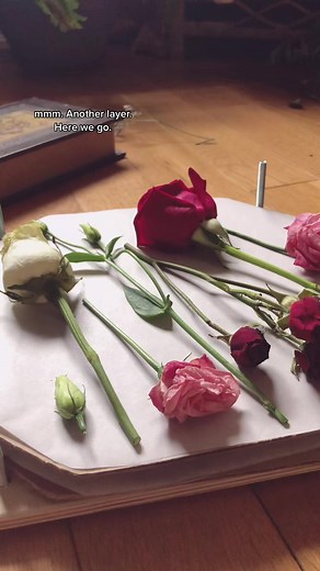 Let’s press flowers ✨💐🥴 #flowers #diy #fyp