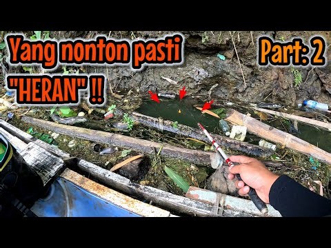 Part: 2 SETIAP ORANG YANG NONTON PASTI HERAN ‼️ mancing ikan red devil NAHOL MANIA