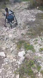 52K views · 417 reactions | Omg I feel so sorry for him.I have to find a way to get him some food. | Help the children stay in school. | Facebook