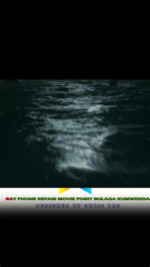 Ray Phone Repair: Manadeer Movie Plot Insights