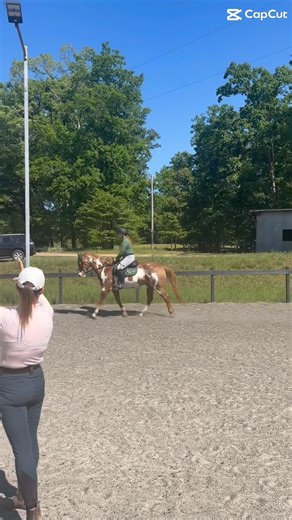 Archer looked so fancy yesterday during my lesson