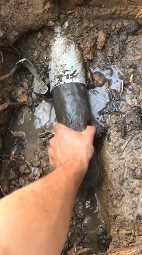 sign to check for roots in your sewer#plumbing #blockeddrain #stormwater #thincrustpizza