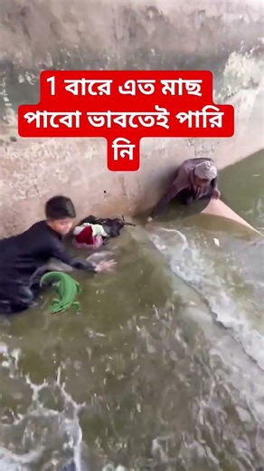 এইটুকু জলে 2 তো জায়েন্ট মাছ #ytshorts #youtubeshorts #shorts #shortsfeed