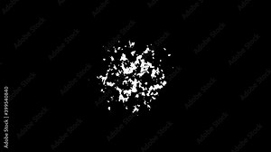 Splatter ink, Ink, Blots. Abstract black watercolor ink drops transition on white background. Painting blot spreading from center. Organic flow expanding and pure splatter spreading. 4K, Alpha channel