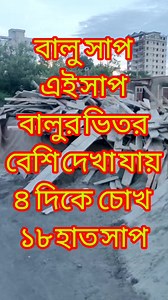 680K views · 785 reactions | #shortviral #comedy #snacktime #snakes #viral #funny #snakechallenge #snacks #snakebreeder #snakelife #snakebites #snakesofinstagram | জেপি শাহজাহান ভাই | Facebook