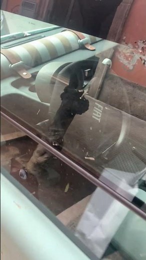 fiat topolino 2024 - walkaround