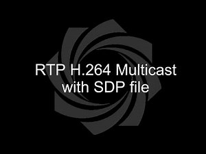 RTP Multicast