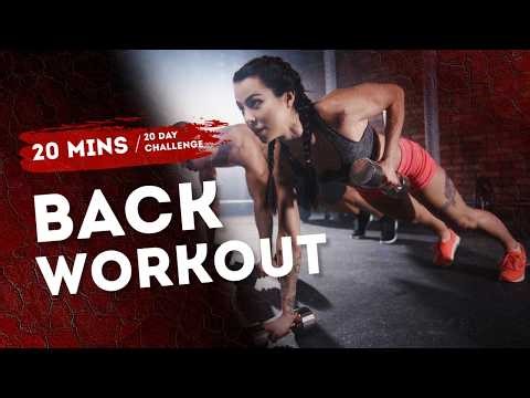 Beginner Back Workout at the Gym 💪 | Easy & Effective Back Exercises