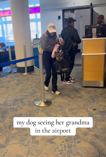 Why Dogs Love Their Grandparents Most
