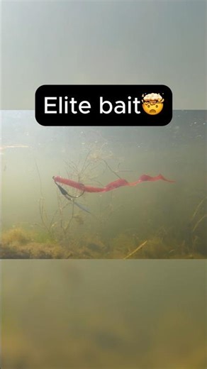 Underspin Flash⚡🐟 Tungsten Power & Lifelike Action Underwater! #reactiontackle #underwater