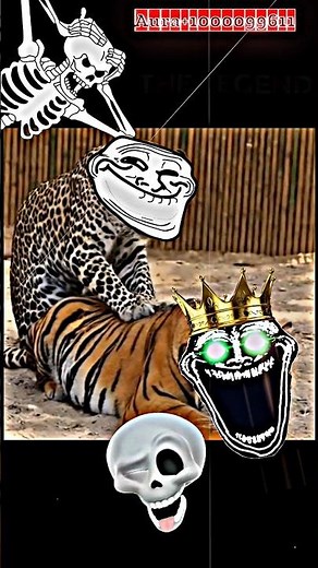 🐯TIGER V/S LION 🦁 🥵😱#youtubeshorts #shortvideo#lion#birds#lionattack