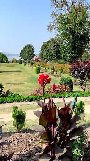 Beautiful view of Mughal Garden #kashmir #explore #best 🥰💗 | Explore Pogal Paristan