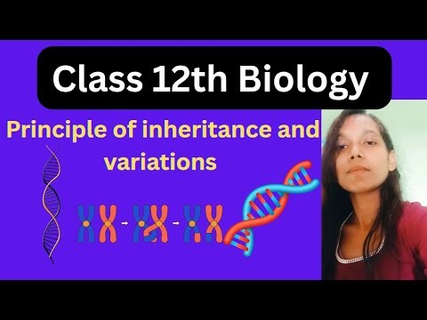 Class 12th Biology l Principle of inheritance and variations l Genetics l Biology class l