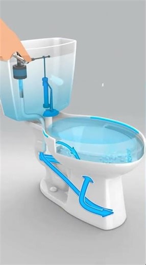 Why Toilets Flush Like This 🤯🚽 The Hidden Mechanism #viral #shorts