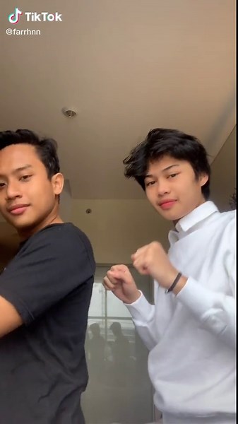 Understanding Sign Language through Gestures