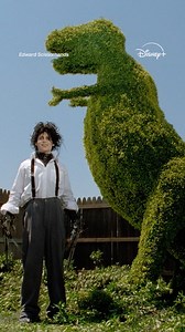 35 years ago, a story unlike any other touched our hearts. Edward Scissorhands is streaming on Disney ! ✂️💙 | Disney