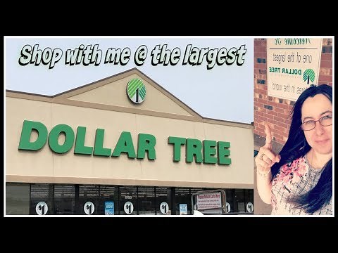 Shop with me at the LARGEST DOLLAR TREE in the World | Part 1