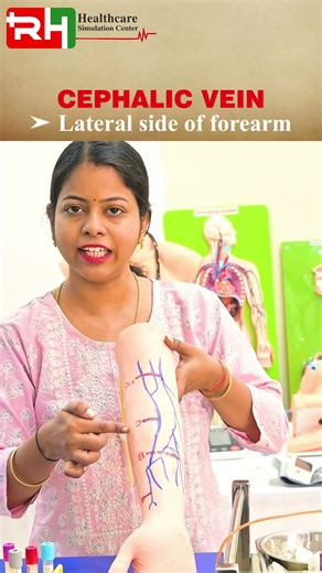 ✅ Venipuncture Sites | Inner Arm & Forearm