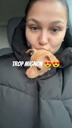 mon chiot est trop mignon 🤩🥰