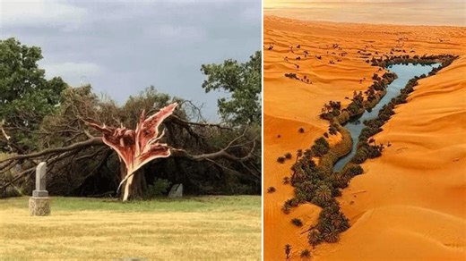 25 Interesting Photos Worth Seeing Today