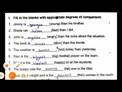 Udaan English Worksheets | Class 6 Worksheet 4 Solved With Full Explanation | HBSE Class 6 Workbook