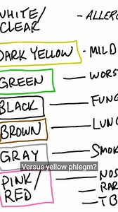 66K views · 1.5K reactions | Red Vs [Your Comparison Here] — Which One Wins?  Red is bold, but is it the best?  Time to compare, react, and vote—because this showdown is hotter than expected. Let’s settle it once and for all! #redvsblue (or your theme) #fyp #viral #trendingnow #whichonewins #comparisonvideo #aestheticbattle #colorchallenge #stylecheck #decisiontime | Diet & healthy By Dr | Facebook