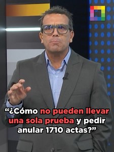 Christian Hudtwalcker: impugnación de mesas y anulación de votos en ocho páginas