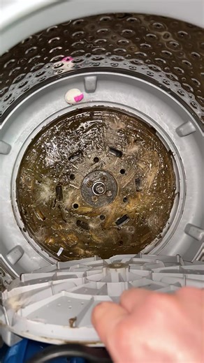 Washing Machine Cleaner for Pet Owners: Eliminate Hair & Odors