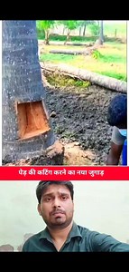 This unique trick of cutting trees was told by Jack- good tools and machinery make work easy | Muskan Bano